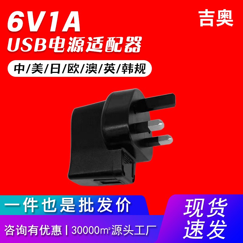 6V1A美规全兼容高品质通用电源美容仪电子产品充电爆款推荐充电器
